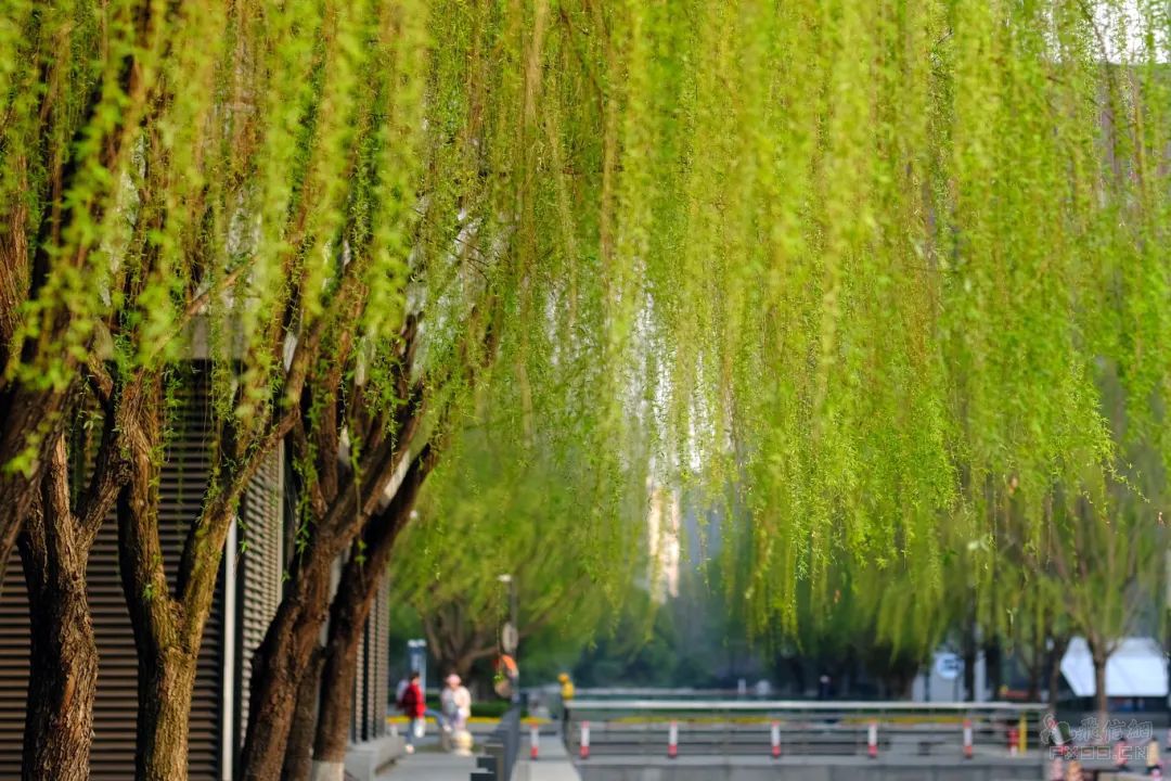 第六屆外灘金融峰會(huì) “全球化”話(huà)題再引關(guān)注 中國(guó)企業(yè)出海意義重大